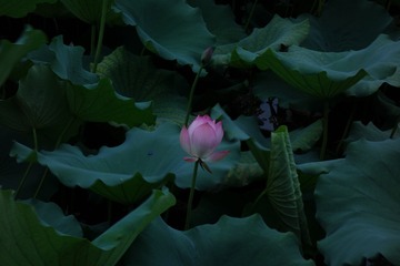 001
