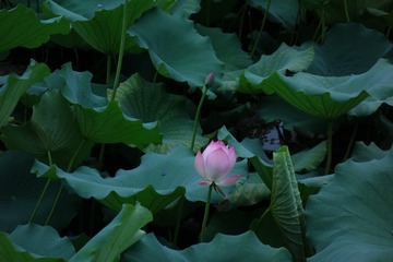 001