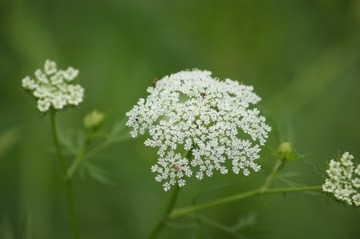DSC05551