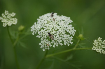DSC05550