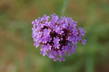 DSC03910