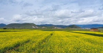 LR130710DSC01480