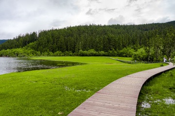 LR130711DSC01554