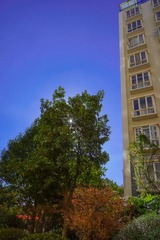 LR131123DSC03611
