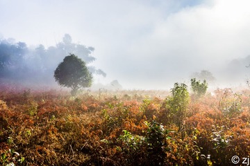 LR140201DSC04285