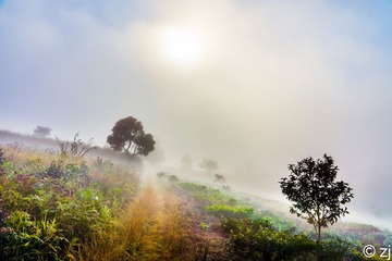 LR140201DSC04290