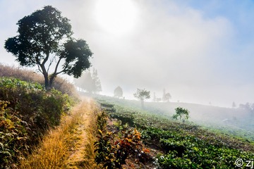 LR140201DSC04303