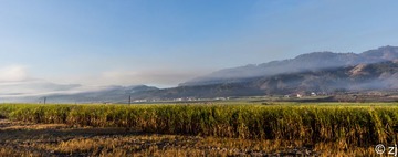 LR140202DSC04370