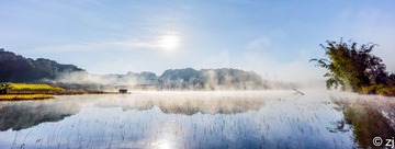 LR140202DSC04386