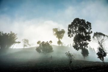 LR140201DSC04269