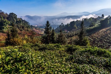 LR140201DSC04310