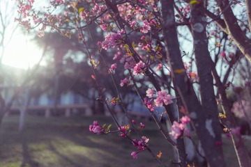 LR140223DSC04570