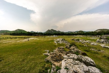 LR140501DSC04986