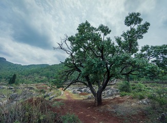 LR140502DSC05120