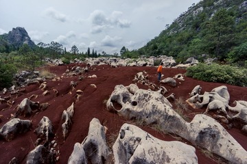 LR140502DSC05129