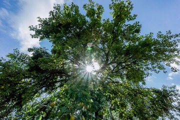 20140905-DSC06366