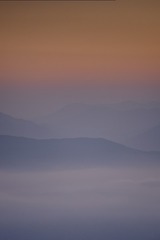 1000033864