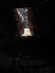 2954881