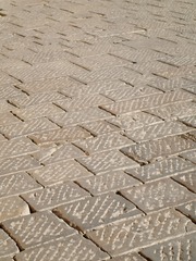 198362772576403504