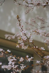 F81F0661-62AF-4516-BDA2-F6DEE2600495/L0/001