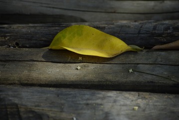 960807