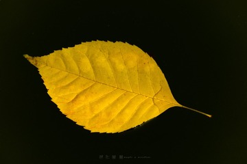 539658