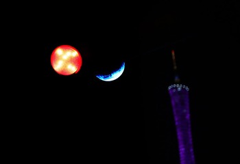 月夜魅惑