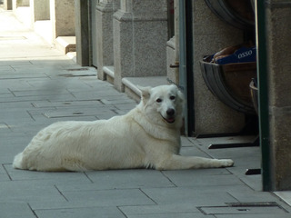 https://cdn6-banquan.ituchong.com/weili/l/189486552644321612.jpg