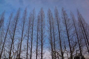 DSC02792.jpg