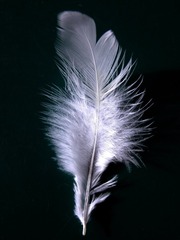 200913021077553173