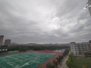 1000012294