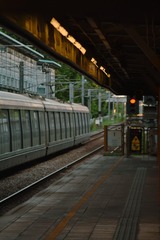 51591