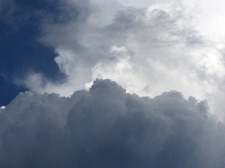2161
