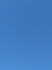 1000001095