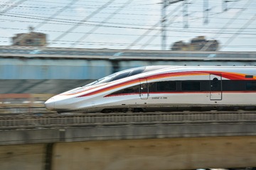 1000036113