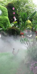 IMG_20211020_110952