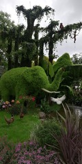 IMG_20211020_110829