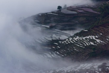384548