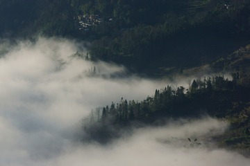 384567