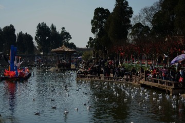 DSC09817-r
