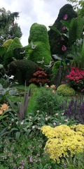 IMG_20211020_110908