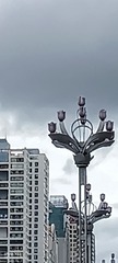 1000061697