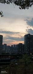 1000061449