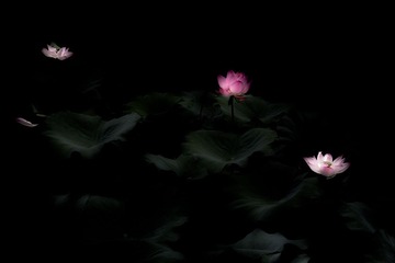 _N7A6213-4