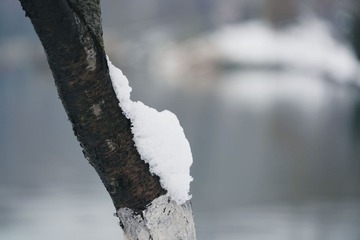 785383