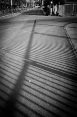 L1002450.jpg
