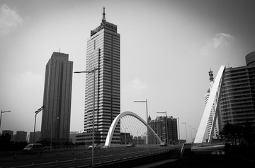L1002895.jpg