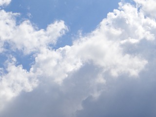 1000076616