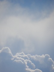 1000077524