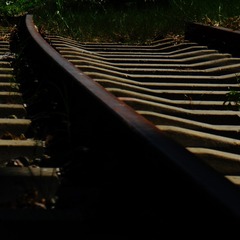 1000075526